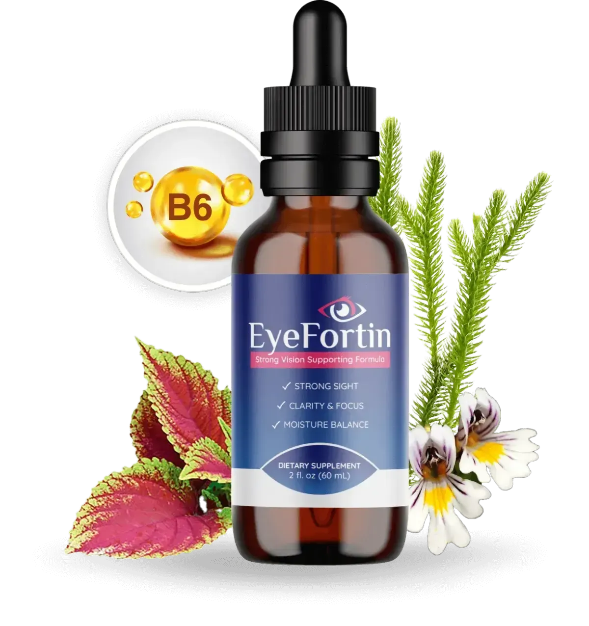 EyeFortin: Supports Vision and Eye Health